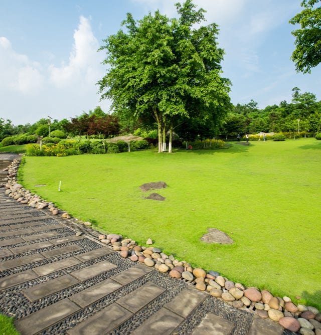 Image d'un gazon dense et lusineux d'un parc entretenu avec Agri-Ozmoz, un hydro-rétenteur naturel. L'herbe verte et bien développée témoigne de l'efficacité de ce produit pour la gestion de la sécheresse en entretien des espaces verts. L'utilisation d'Agri-Ozmoz a permis à la pelouse du parc de bénéficier d'une irrigation durable et réduite, ce qui favorise une croissance optimale des plantes tout en conservant l'eau. Cette photographie représente l'impact positif d'Agri-Ozmoz sur les gazons des parcs et espaces verts urbains, et souligne la nécessité d'innover pour préserver l'environnement et entretenir de manière responsable les espaces verts dans les villes et les zones urbaines.